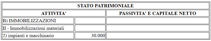 Esposizione delle immobilizzazioni in bilancio