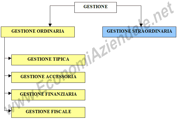 Aree della gestione