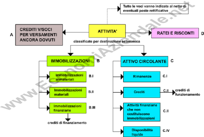 Mappa concettuale sullo schema delle attività dello stato patrimoniale